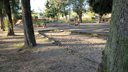 Parque Canino Campo Grande