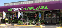 Flowerama Cedar Rapids Johnson Ave - Photo 5 - Car repair in Cedar Rapids, IA, Cedar Rapids