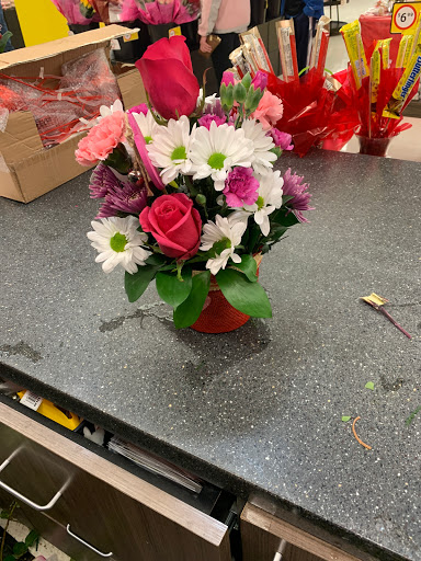 Grocery Store «Winn-Dixie», reviews and photos, 10 McFarland Blvd, Northport, AL 35476, USA