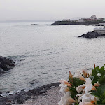 Photo n°9 de l'avis de Raffaella.i fait le 22/06/2021 à 19:59 sur le  San Pietro - Bistrot del Mare à Torre del Greco