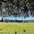 Bowen Road Cemetery