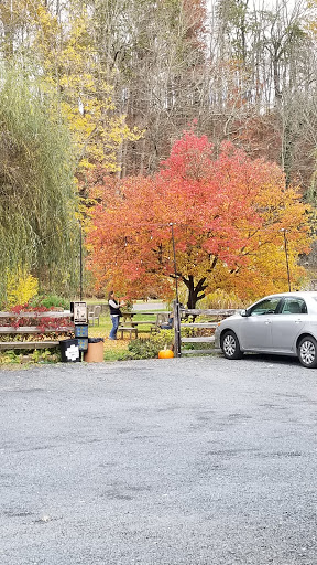 Gourmet Grocery Store «Max Hansen Carversville Grocery», reviews and photos, 6208 Fleecy Dale Rd, Carversville, PA 18913, USA