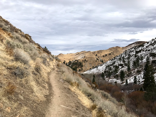 Mount Rose Wilderness Area