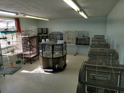 Pet Store «Adventure Birds of Bon Aqua», reviews and photos, 9600 TN-46, Bon Aqua, TN 37025, USA