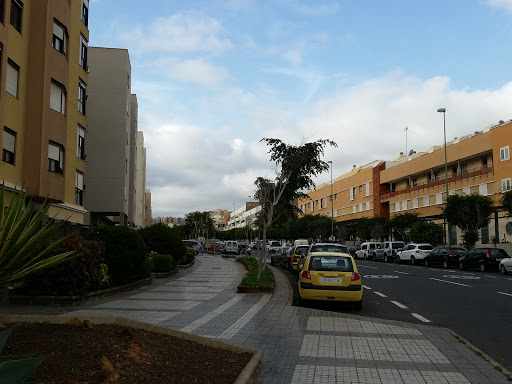 Clinica Veterinaria La Minilla