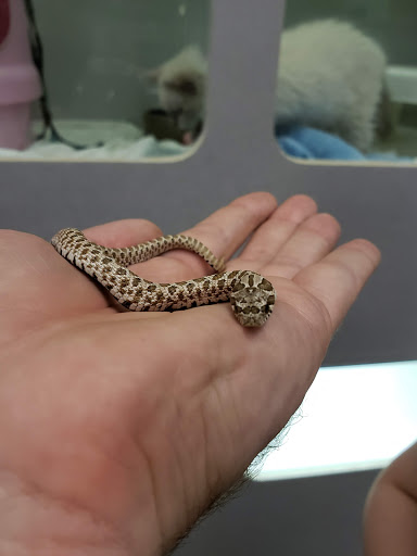 Pet Store «Friendly Pets», reviews and photos, 625 Friendly Center Rd, Greensboro, NC 27408, USA