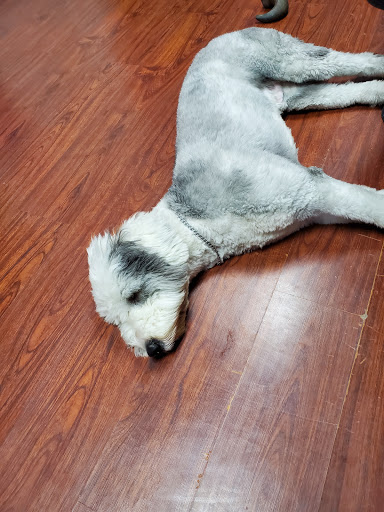 Tobacco Shop «Elite Smoke Shop», reviews and photos, 2458 U.S. 9, Howell, NJ 07731, USA