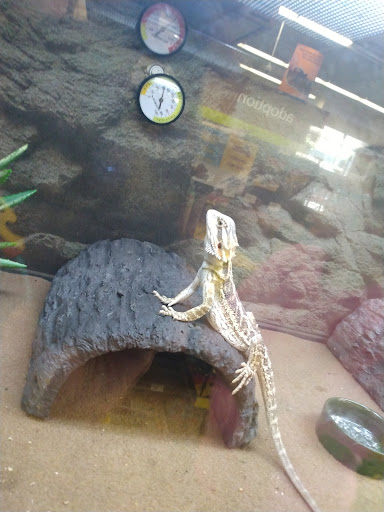 Pet Supply Store «Petco Animal Supplies», reviews and photos, 2895 Gulf Fwy S, League City, TX 77573, USA