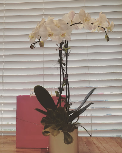 Rambling Rose Florist, 22428 Gilmore St, West Hills, CA 91307, USA, 