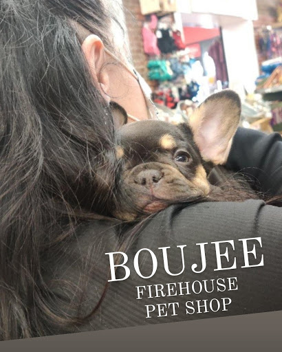 Pet Store «Firehouse Pet Shop & Grooming», reviews and photos, 17 S Wenatchee Ave, Wenatchee, WA 98801, USA
