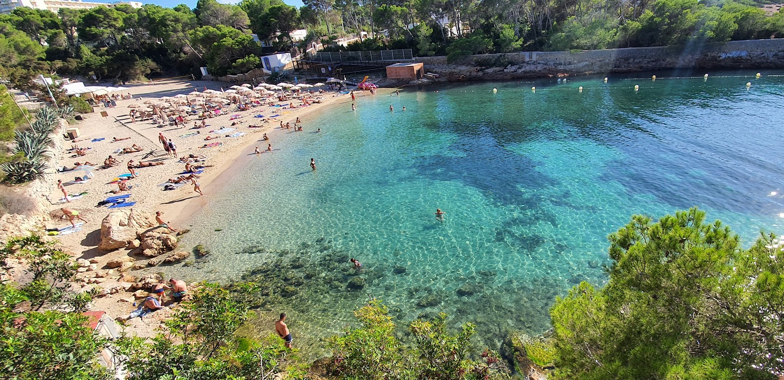 Cala Gracio'in fotoğrafı parlak ince kum yüzey ile