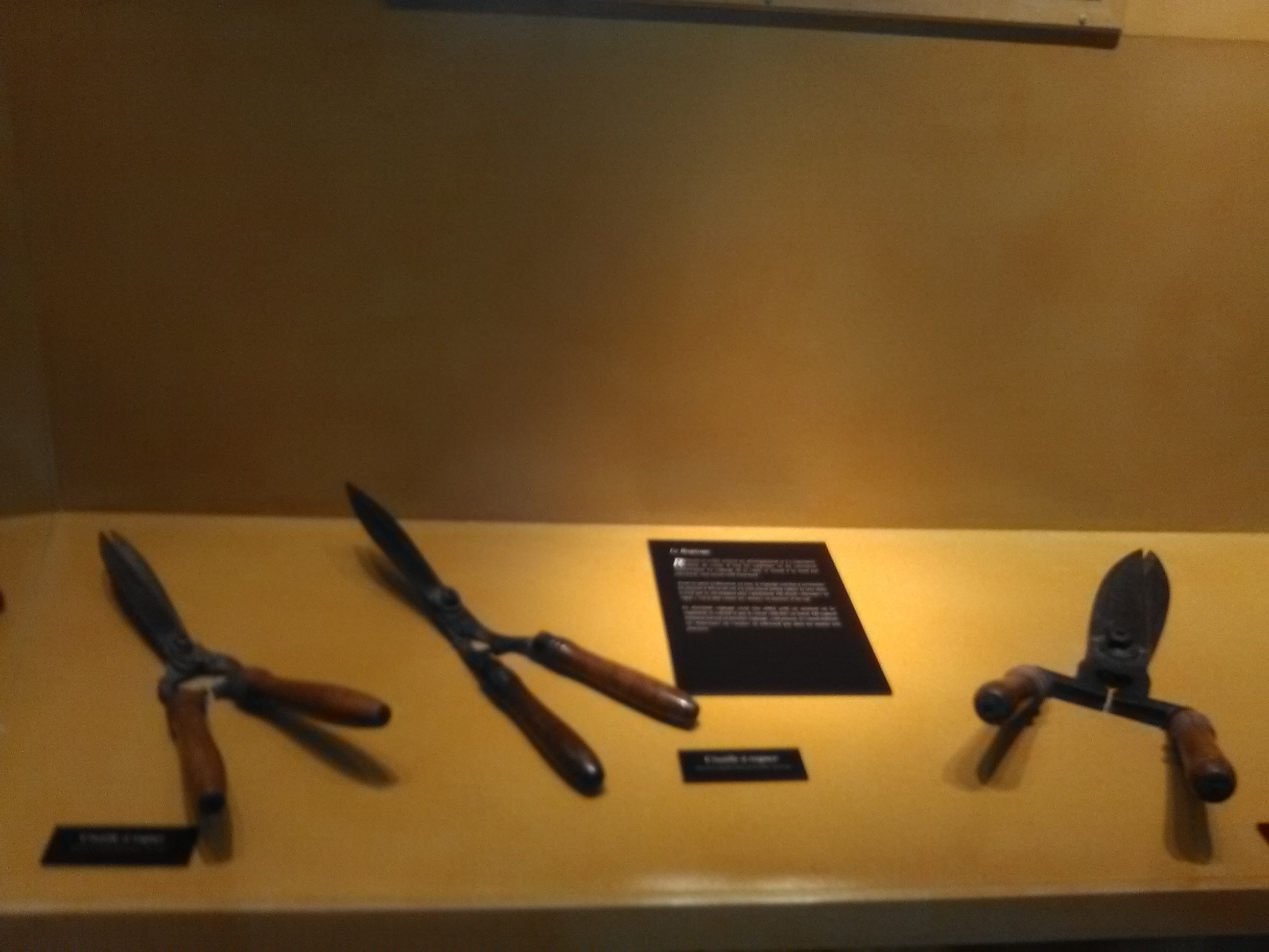 Photo n° 19 de l'avis de Athéna.e fait le 15/08/2017 à 06:29