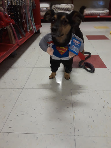 Pet Supply Store «Petco Animal Supplies», reviews and photos, 8775 SW Tualatin-Sherwood Rd, Tualatin, OR 97062, USA