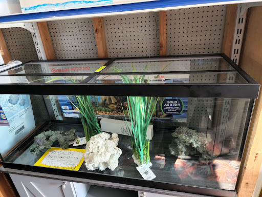 Pet Store «Brooklyn Zoo & Aquarium Pet Store», reviews and photos, 2377 Ralph Ave, Brooklyn, NY 11234, USA