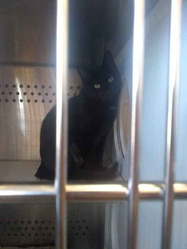 Pet Supply Store «Petsense Cleburne», reviews and photos, 1301 W Henderson St, Cleburne, TX 76033, USA