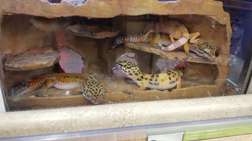 Pet Supply Store «Petco Animal Supplies», reviews and photos, 14051 Aldrich Ave S, Burnsville, MN 55337, USA