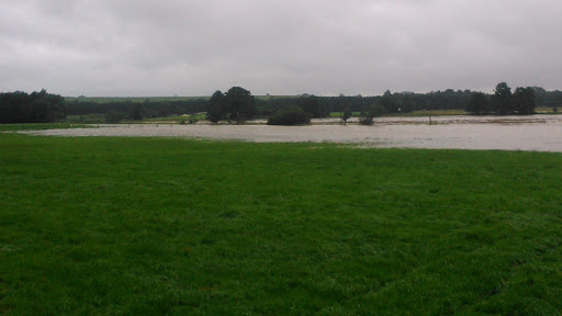 Michael Beihsner unter Seeburg, 