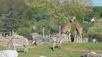 Zone des Girafes du Restaurant Le Tropical à Saint-Aignan - n°4