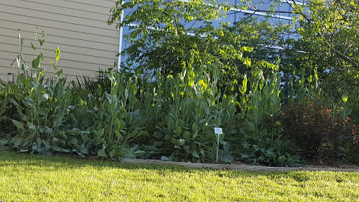 Natural History Museum «The Witt Stephens Jr. Central Arkansas Nature Center», reviews and photos, 602 President Clinton Ave, Little Rock, AR 72201, USA