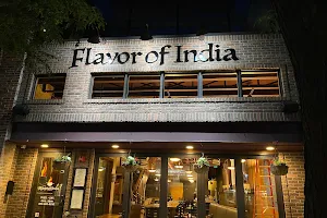 Flavor of India image