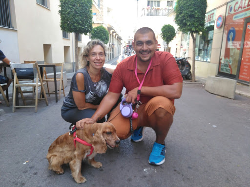 Veterinari Espalter 22 Slp - 24h Urgencias en Sitges