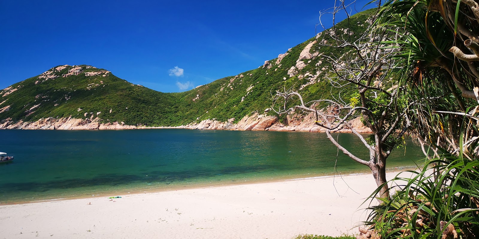Foto di Sham Wan Beach con una superficie del sabbia beige