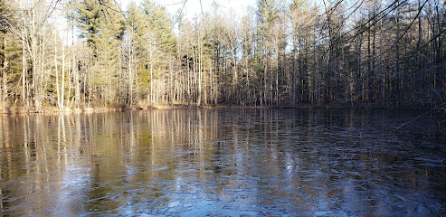 Geiger Ridge Pond