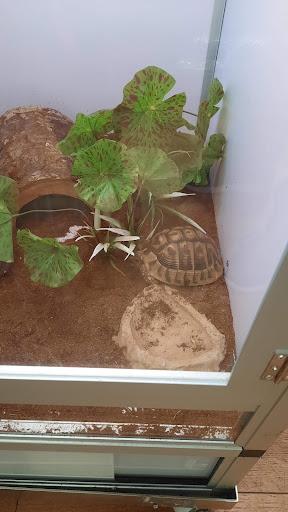 Pet Supply Store «Pet Supermarket», reviews and photos, 1800 W 68th St #140, Hialeah, FL 33014, USA