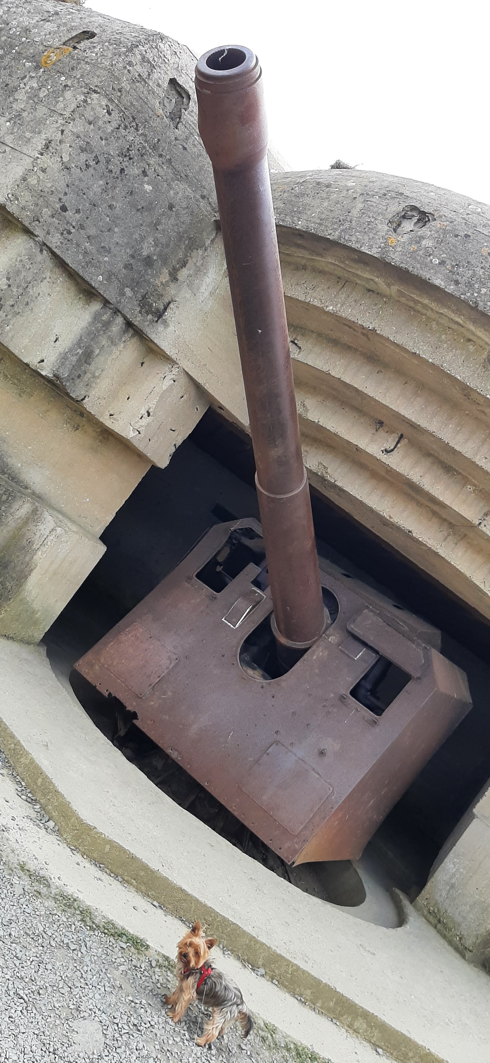 Photo n° 8 de l'avis de Gautier.a fait le 18/06/2023 à 07:13