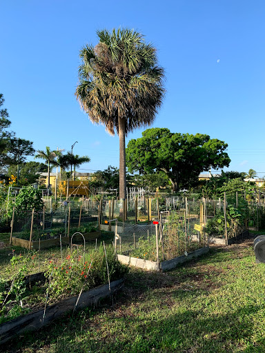 Garden Center «Urban Farming Institute», reviews and photos, 1101 NE 40th Ct, Oakland Park, FL 33334, USA