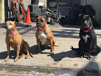 David's Tire And Auto Repair - Photo 7 - Car repair in Camden, NJ, Philadelphia