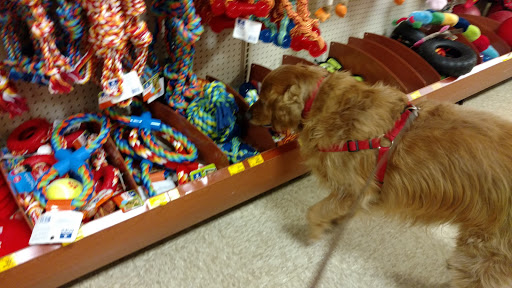 Pet Supply Store «PetSmart», reviews and photos, 9342 WI-16, Onalaska, WI 54650, USA