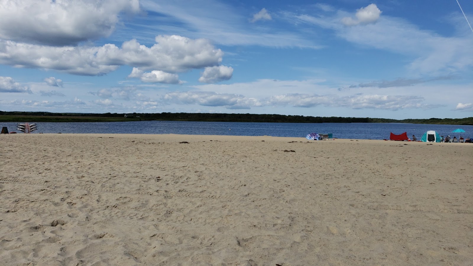 Φωτογραφία του Long Point Beach άγρια περιοχή