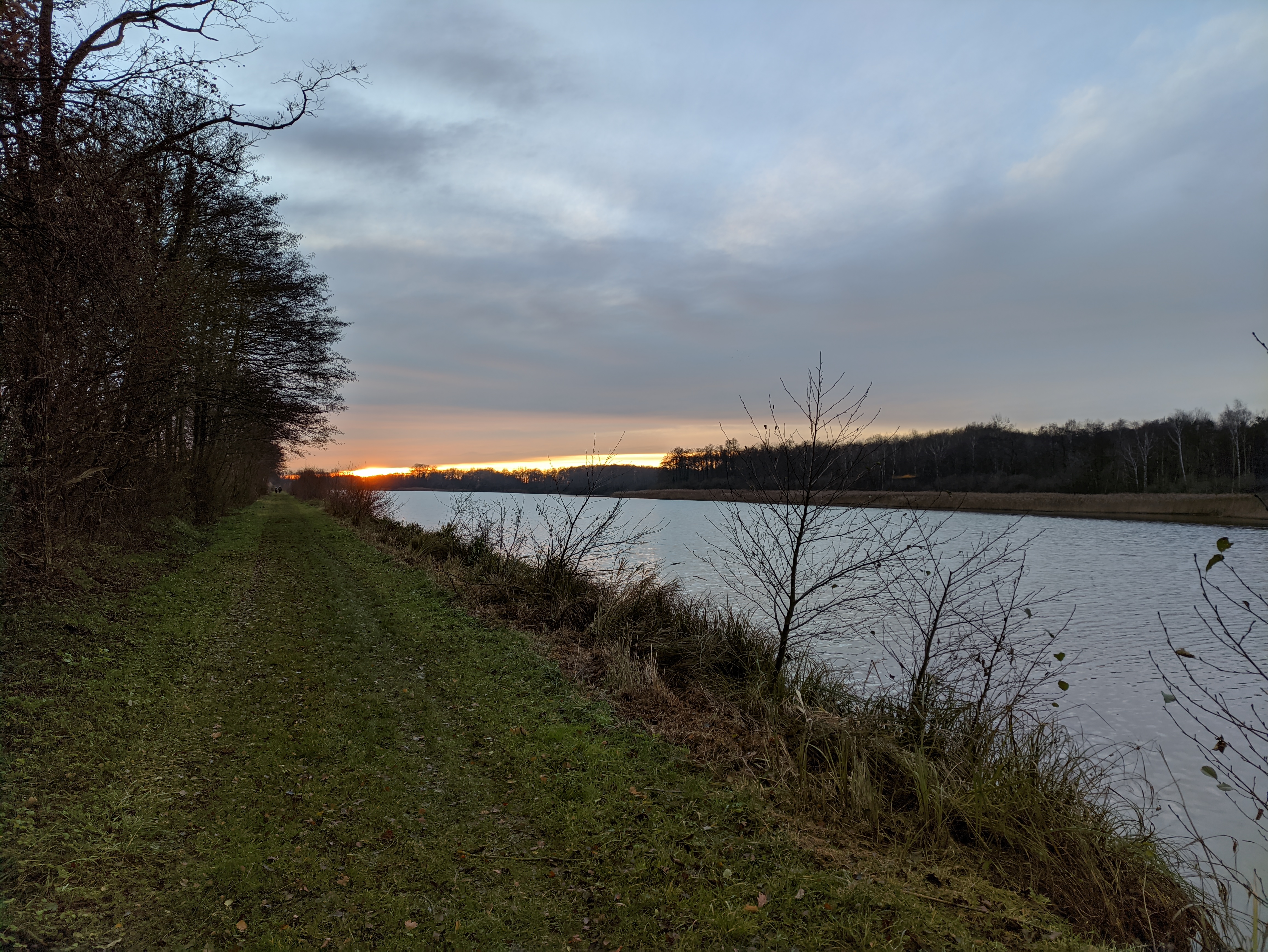 Photo n° 1 de l'avis de Virgile.I fait le 05/12/2020 à 15:24