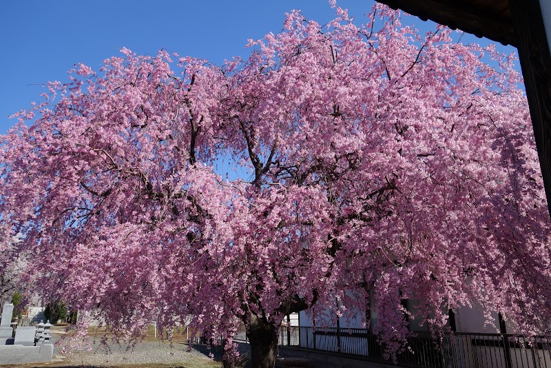 建正寺