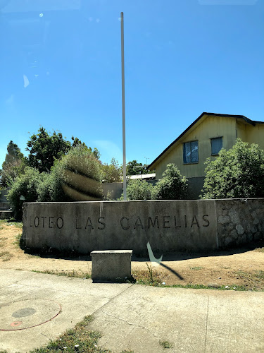 Villa Las Camelias Bulnes - Bulnes