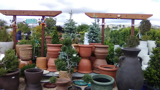 Hardware Store «Payless Hardware, Rockery and Nursery», reviews and photos, 2927 King Rd, San Jose, CA 95122, USA