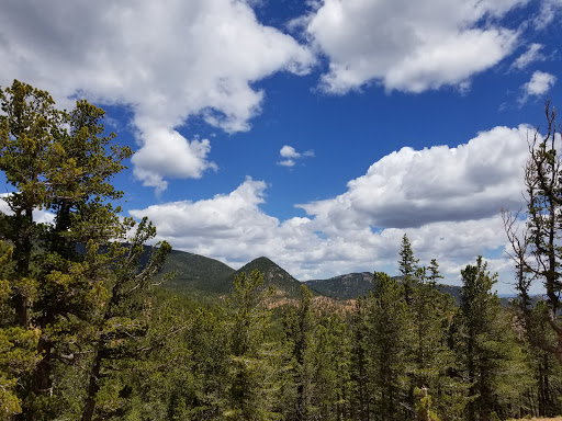 Tourist Attraction «Adventures Out West», reviews and photos, 1335 Manitou Ave, Manitou Springs, CO 80829, USA