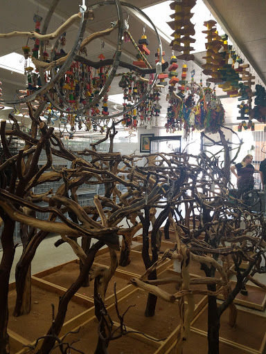 Bird Shop «Arizona Bird Store», reviews and photos, 565 S Dobson Rd, Mesa, AZ 85202, USA