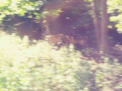 Park «Fort Circle Park», reviews and photos, Minnesota Ave SE, Washington, DC 20019, USA