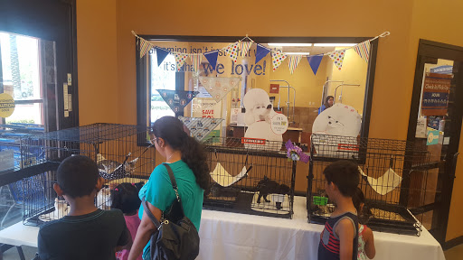 Pet Supply Store «PetSmart», reviews and photos, 12741 Towne Center Dr, Cerritos, CA 90703, USA
