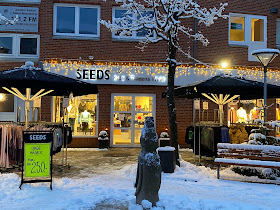 Seeds kids & Tweens Wear