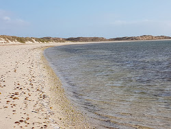 Bruboodjoo Beach'in fotoğrafı vahşi alan