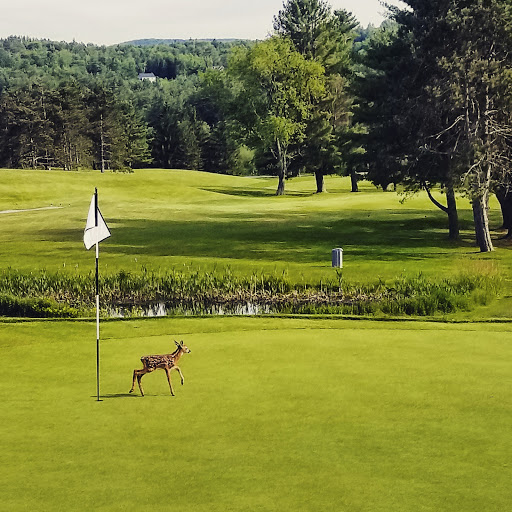 Country Club «Stowe Country Club», reviews and photos, 744 Cape Cod Rd, Stowe, VT 05672, USA