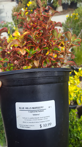 Gift Shop «Blue Hills Nursery & Gift Shop», reviews and photos, 16440 Whittier Blvd, Whittier, CA 90603, USA