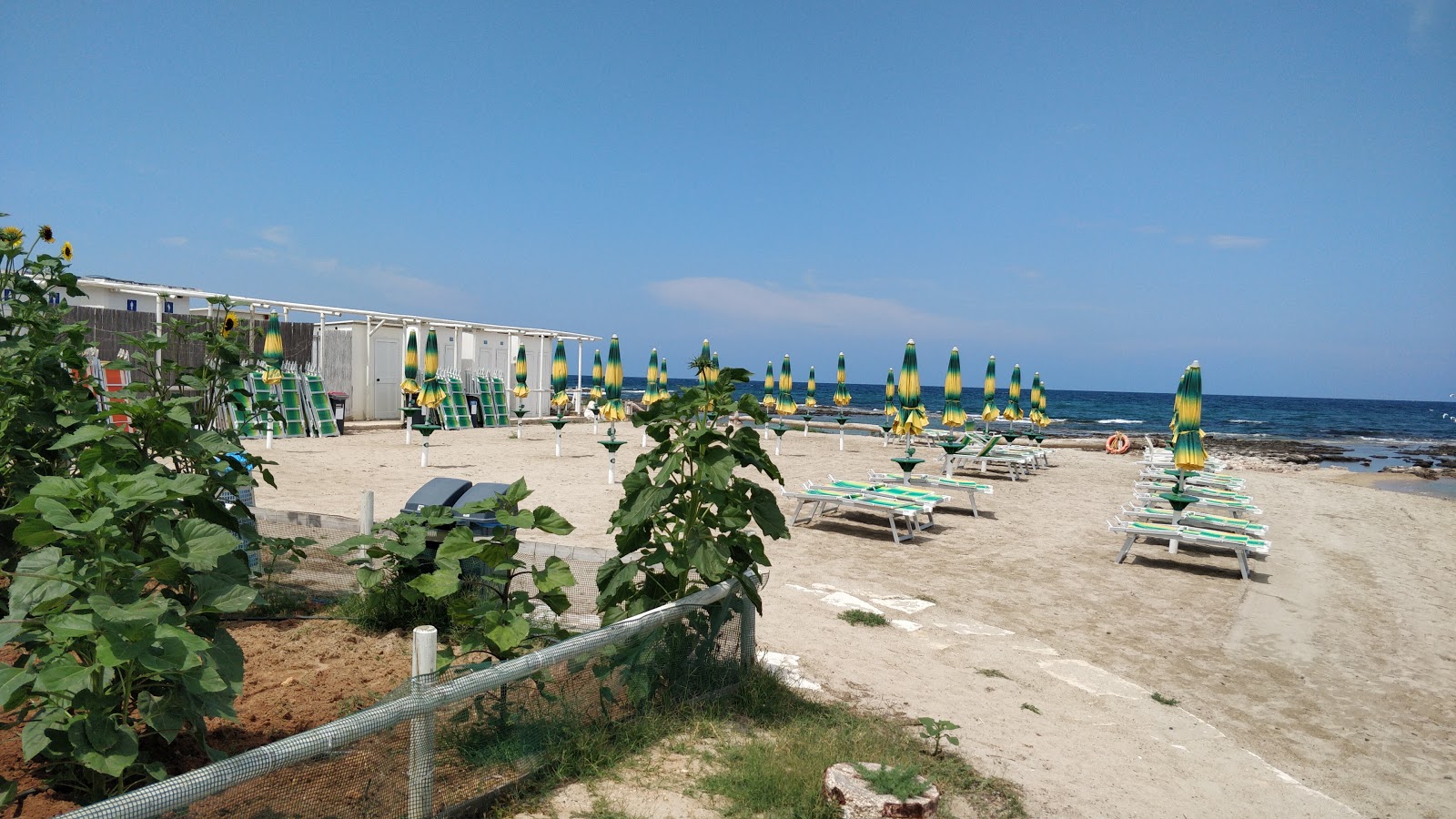 Foto von Spiaggia di Specchiolla mit viele kleine buchten