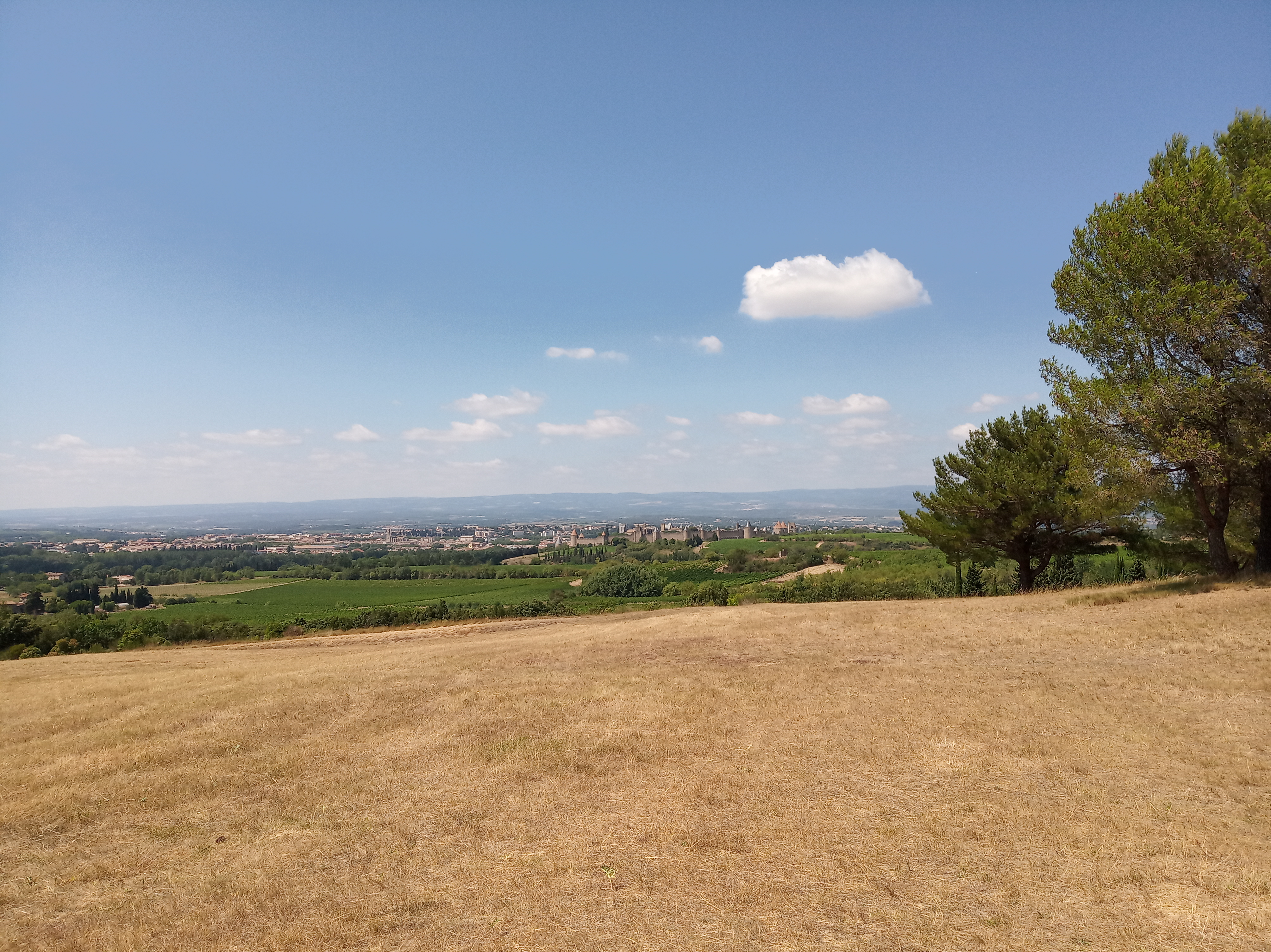 Photo n° 1 de l'avis de pascal. fait le 21/07/2021 à 13:53
