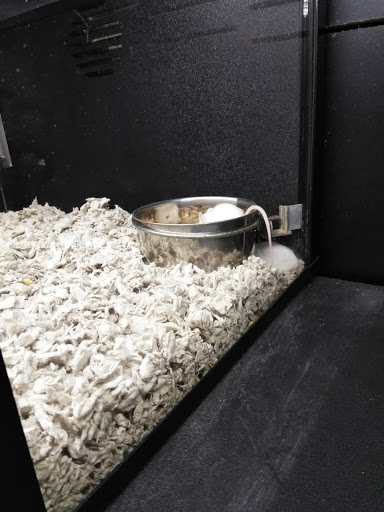 Pet Store «Back To Nature Pets & Grooming», reviews and photos, 110 N Dupont Hwy, New Castle, DE 19720, USA