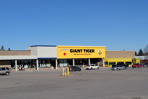 Giant Tiger