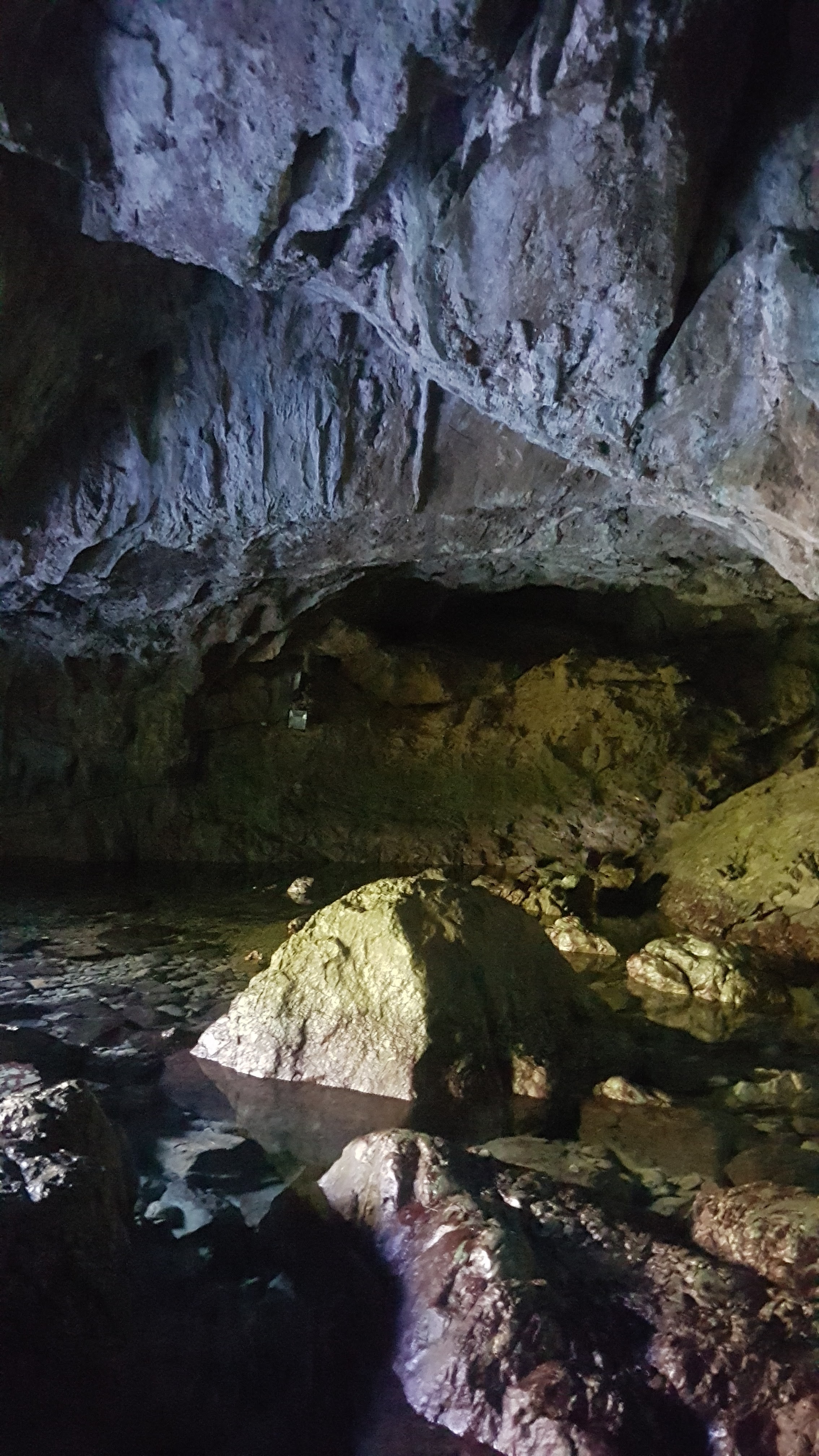Photo n° 4 de l'avis de Cylia.a fait le 19/10/2020 à 17:55